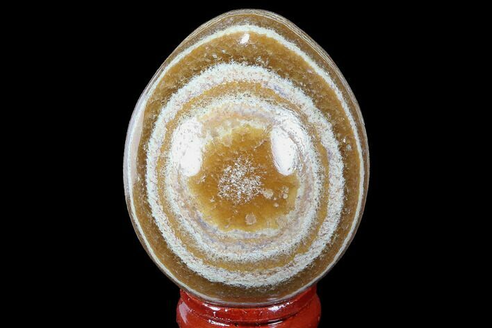 Polished, Banded Aragonite Egg - Morocco #98420